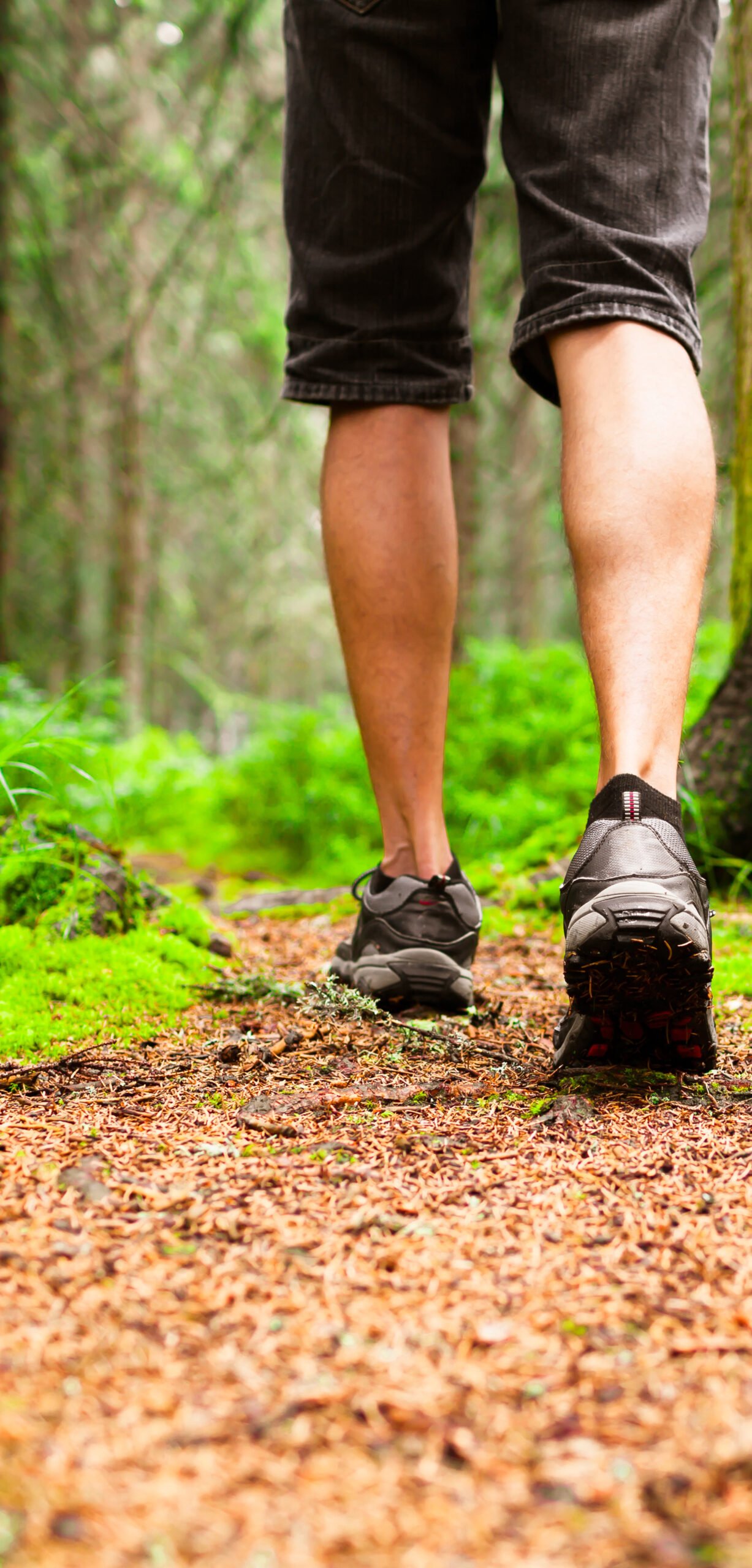 Home man,walking,through,the,forest